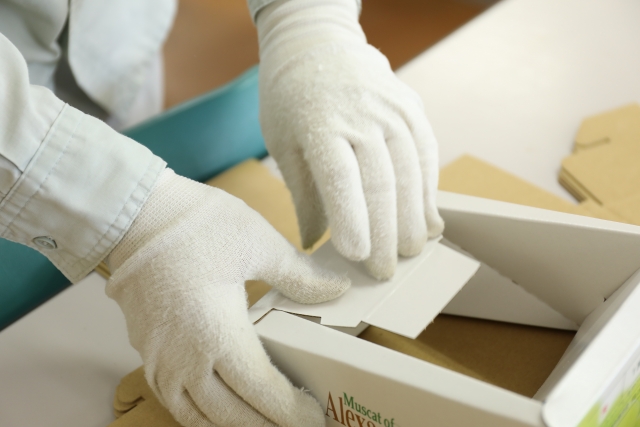 内職作業を中心とした軽作業の画像